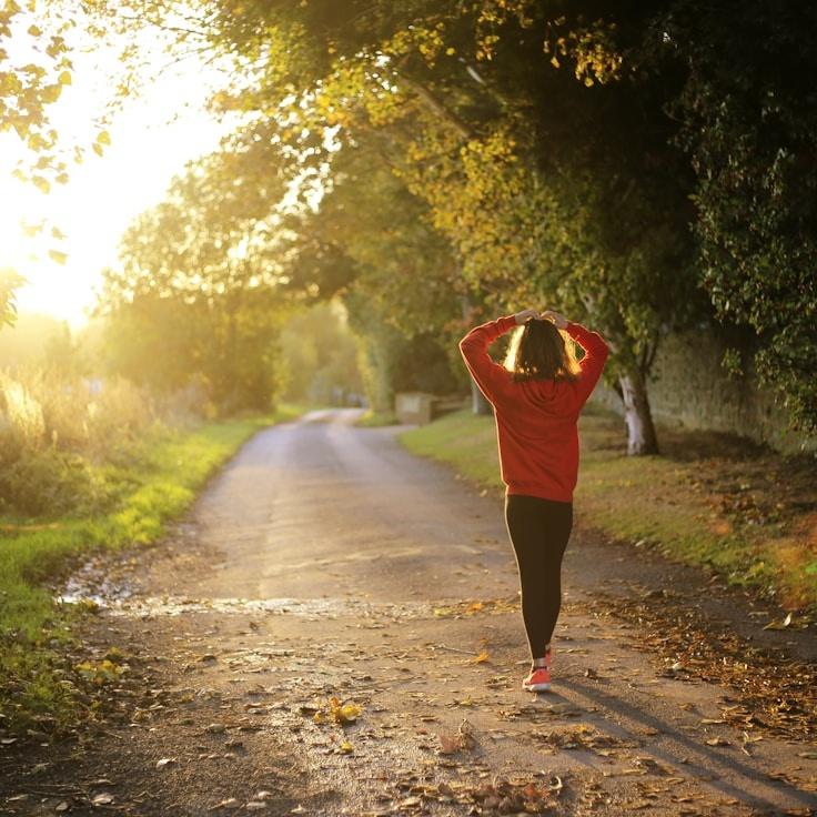 Elevate Your Pulse: Dynamic Fitness Progression